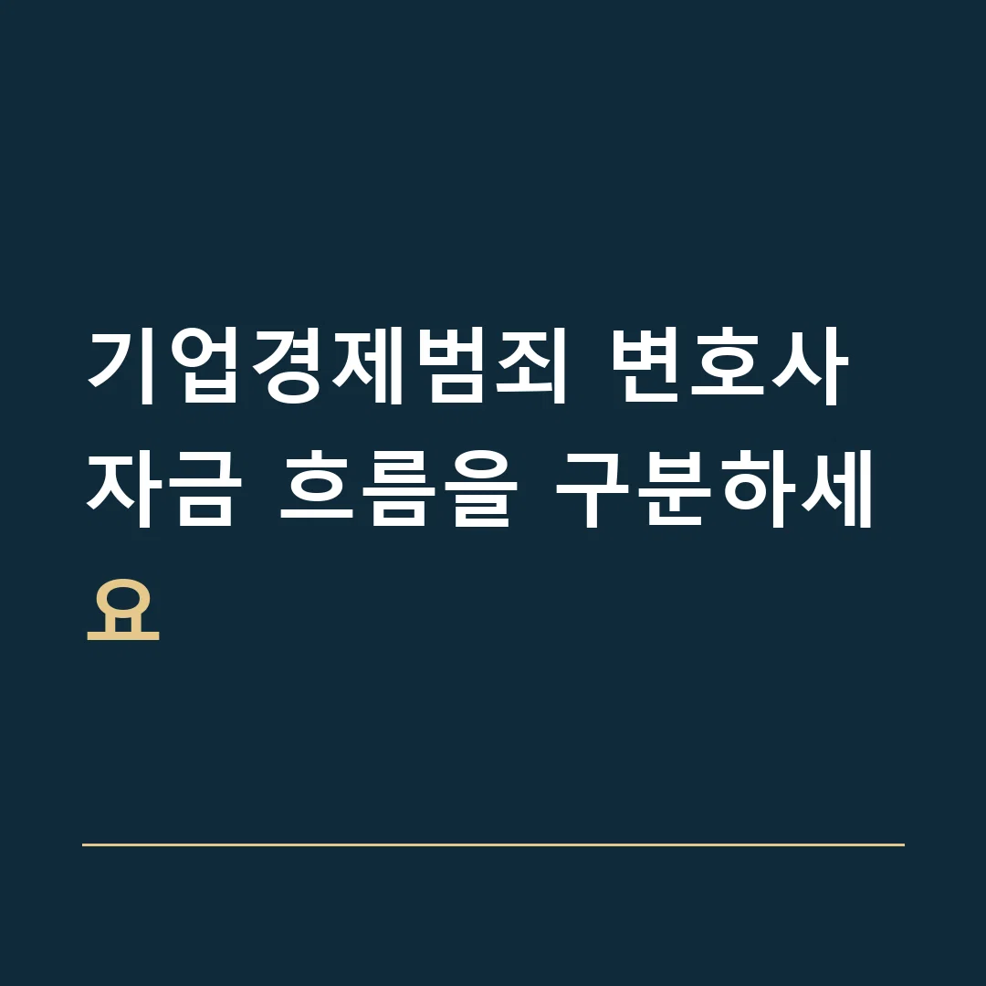 기업경제범죄 변호사 · 자금 흐름을 구분하세요
