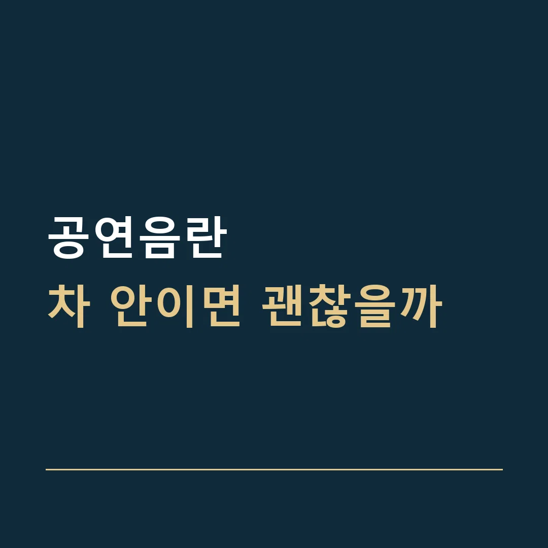 공연음란 · 차 안이면 괜찮을까