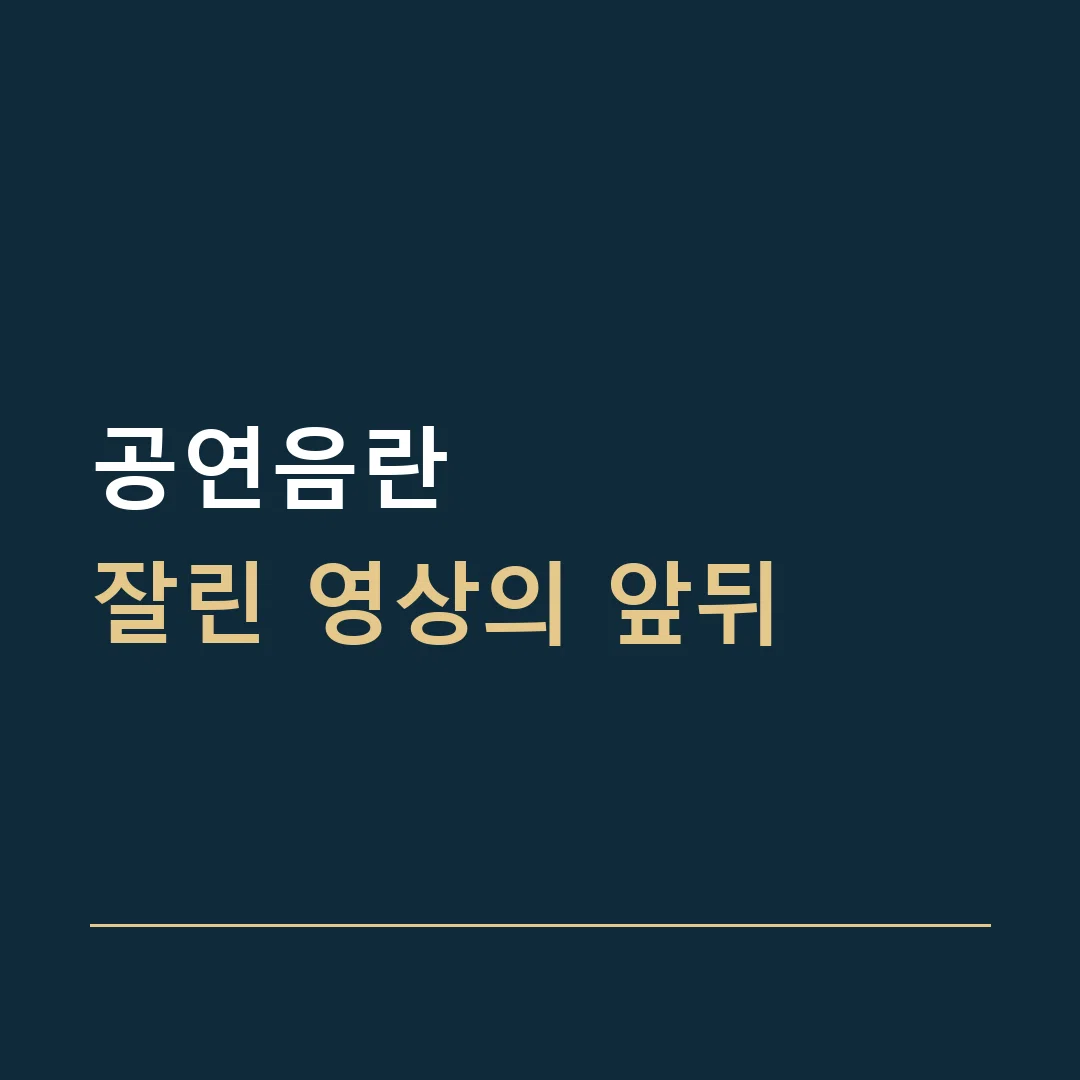 공연음란 · 잘린 영상의 앞뒤