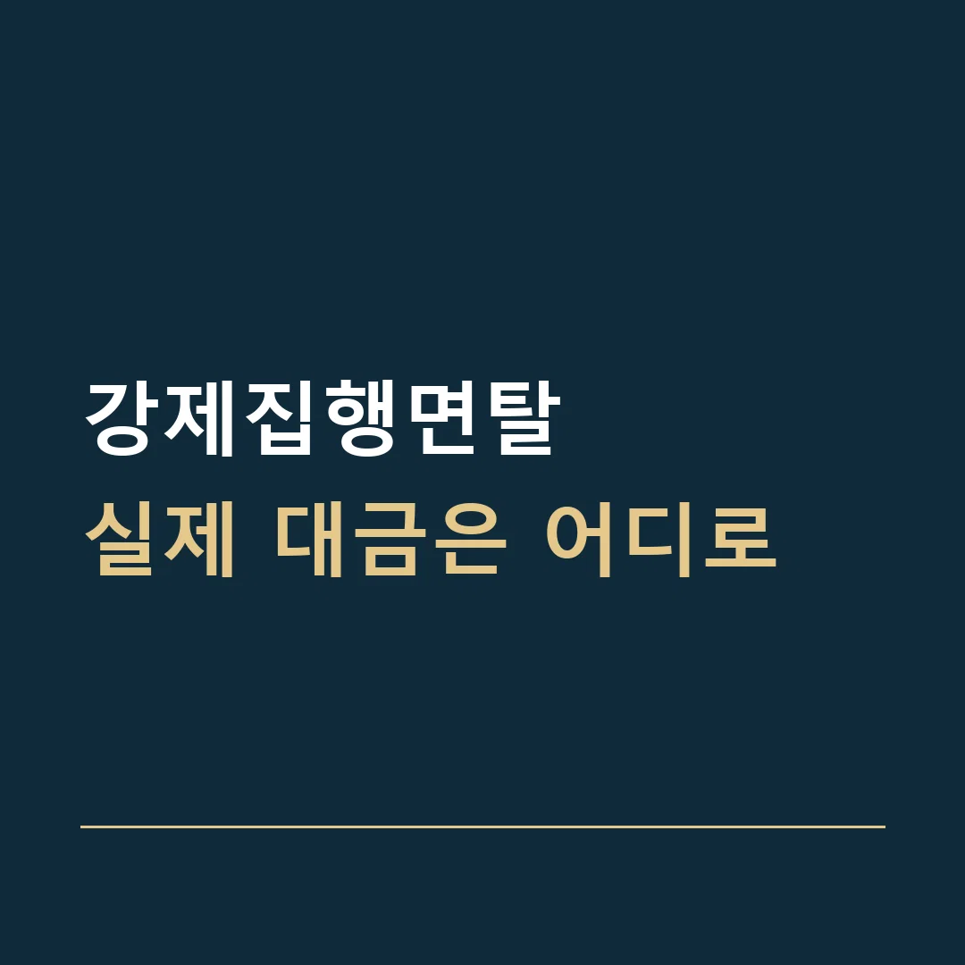 강제집행면탈 · 실제 대금은 어디로