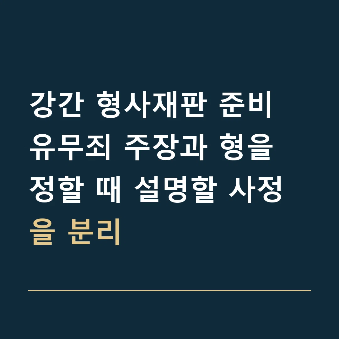 강간 형사재판 준비 · 유무죄 주장과 형을 정할 때 설명할 사정을 분리