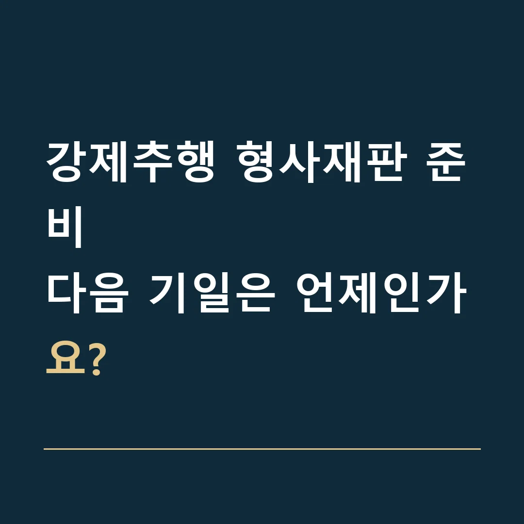 강제추행 형사재판 준비 · 다음 기일은 언제인가요?