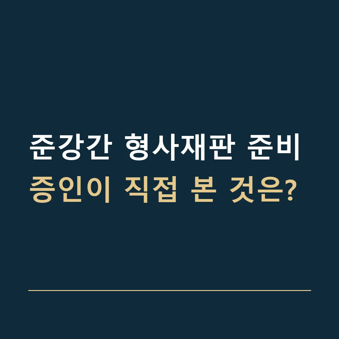 준강간 형사재판 준비 · 증인이 직접 본 것은?