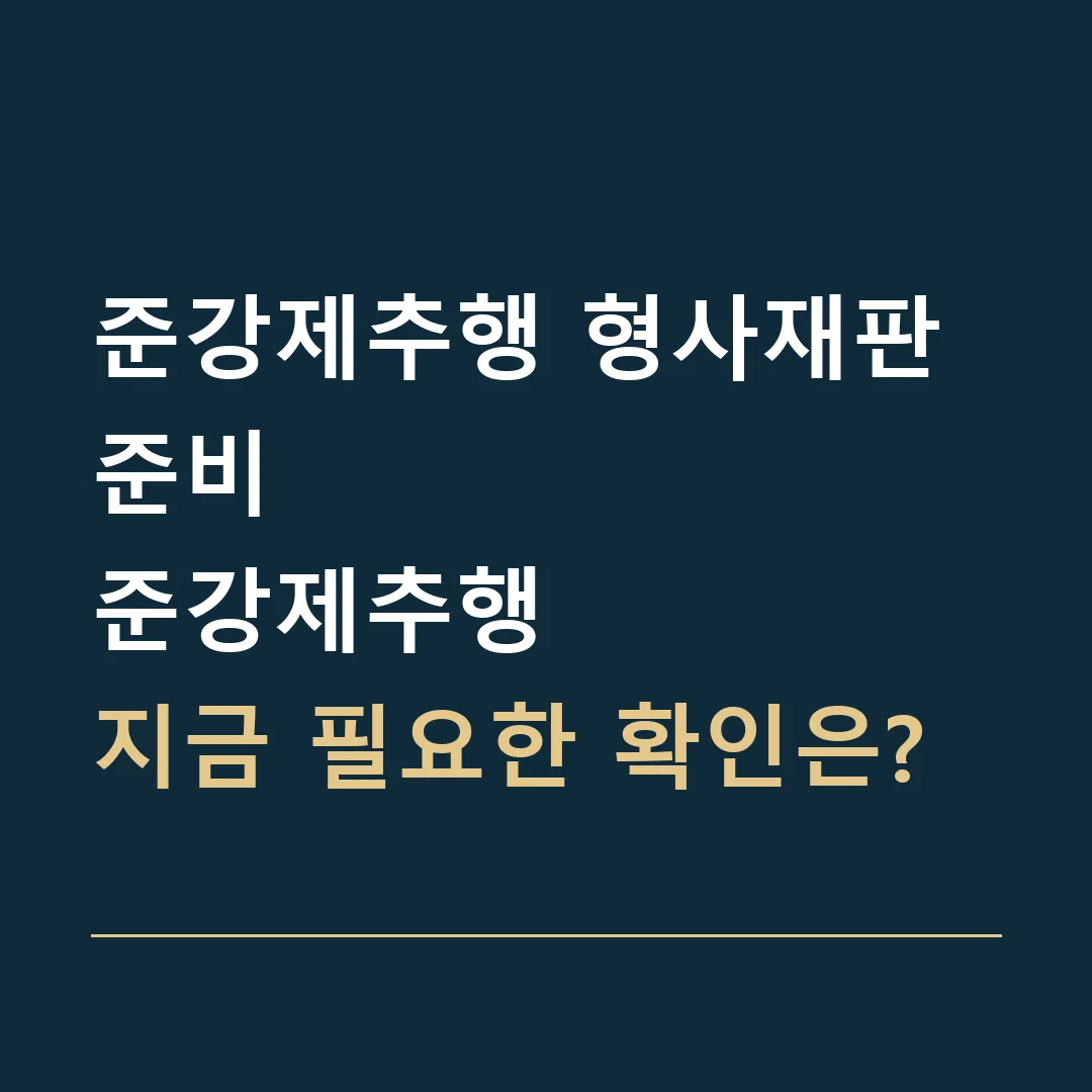 준강제추행 형사재판 준비 · 준강제추행
지금 필요한 확인은?