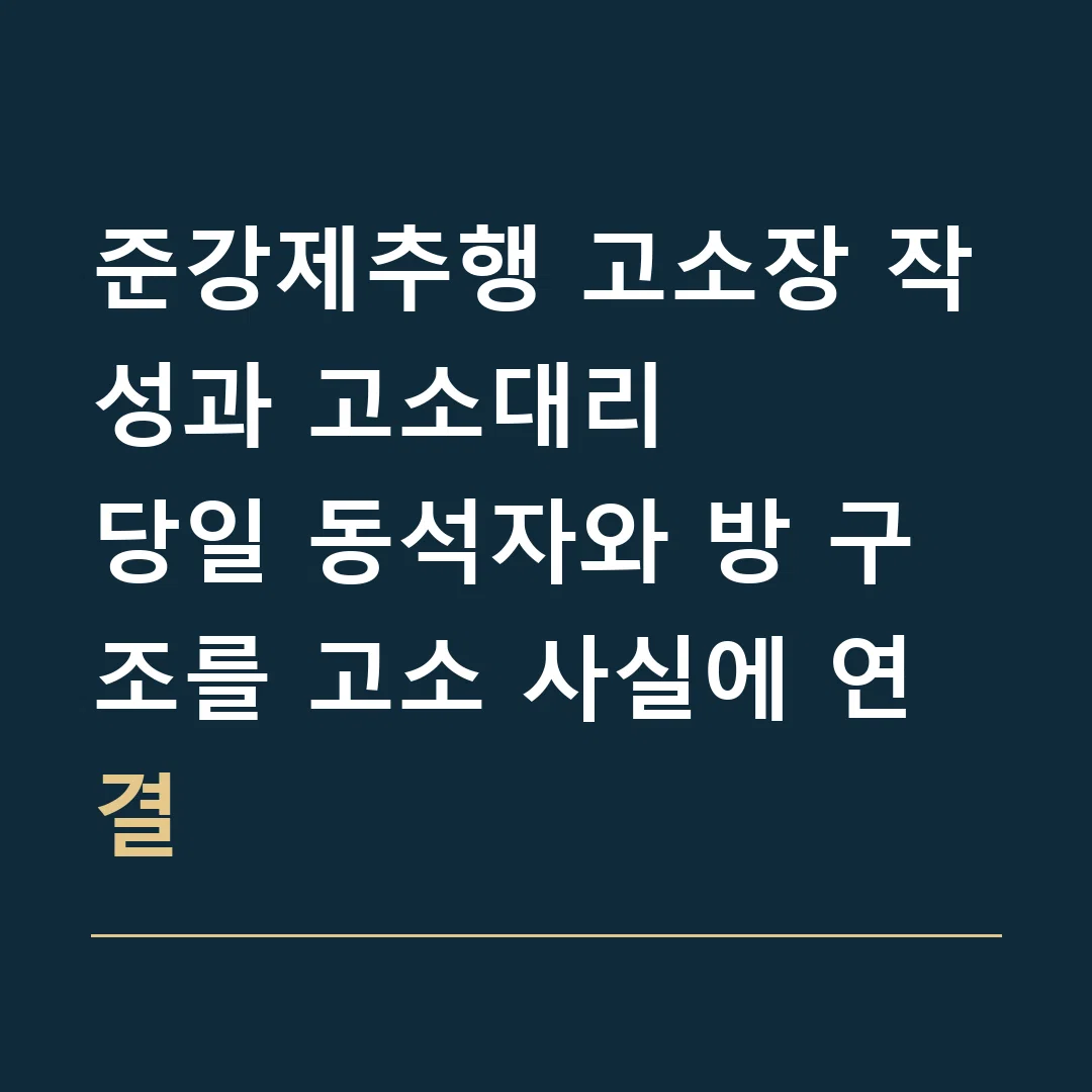 준강제추행 고소장 작성과 고소대리 · 당일 동석자와 방 구조를 고소 사실에 연결