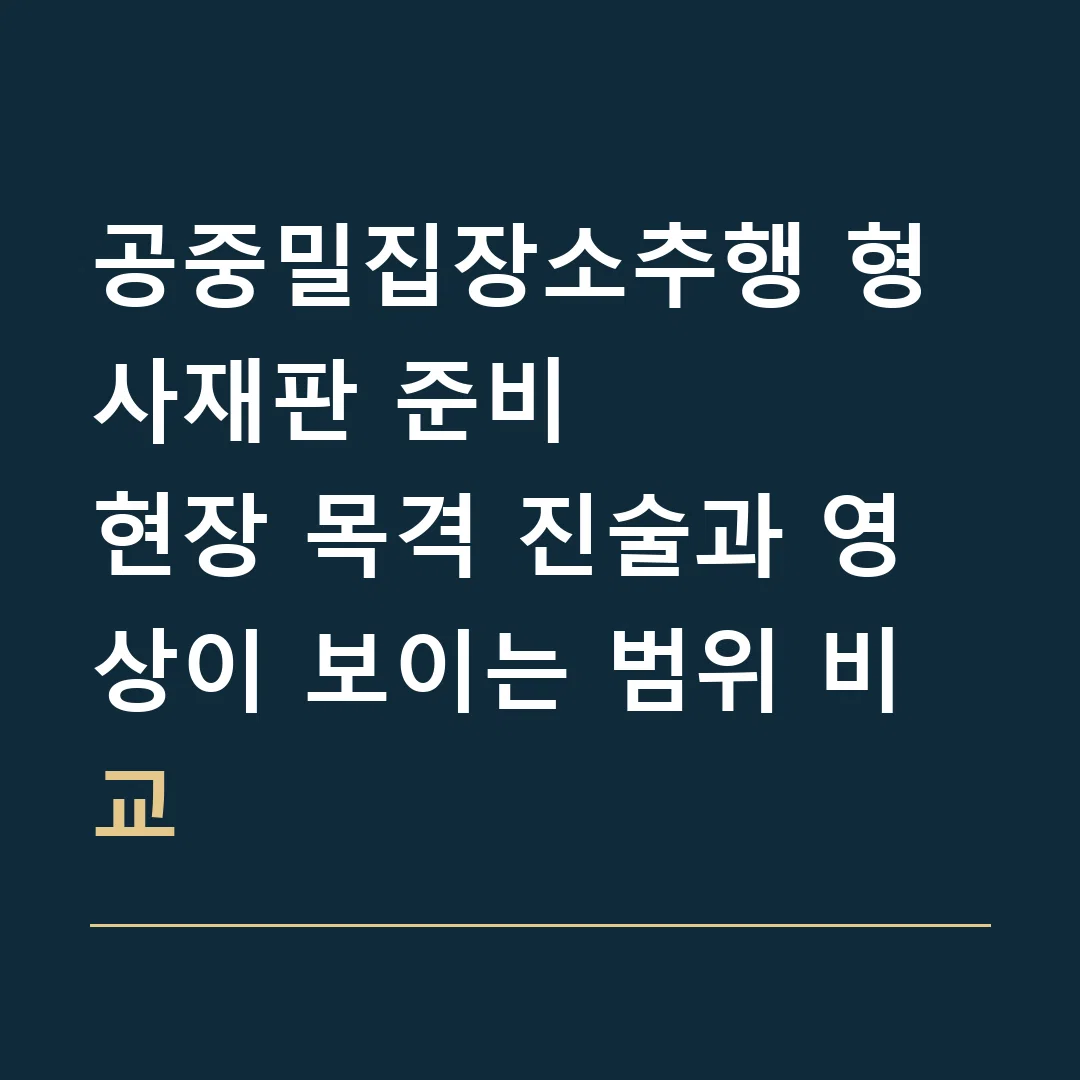 공중밀집장소추행 형사재판 준비 · 현장 목격 진술과 영상이 보이는 범위 비교