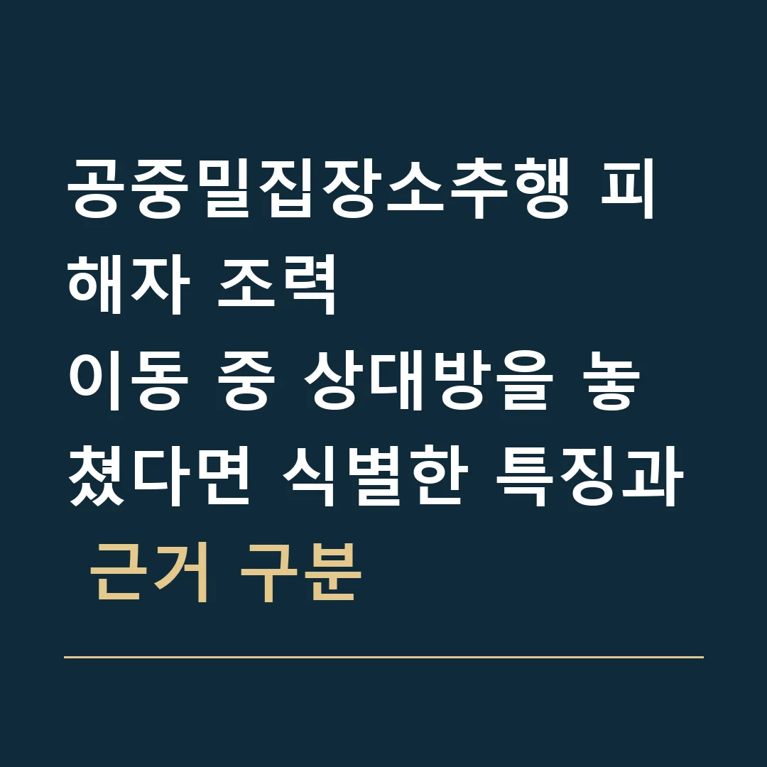 공중밀집장소추행 피해자 조력 · 이동 중 상대방을 놓쳤다면 식별한 특징과 근거 구분