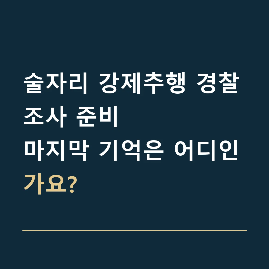 술자리 강제추행 경찰조사 준비 · 마지막 기억은 어디인가요?