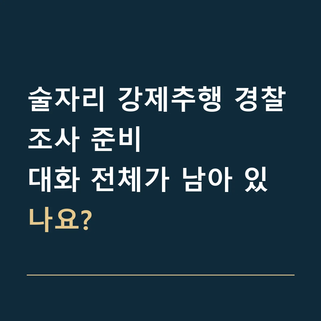 술자리 강제추행 경찰조사 준비 · 대화 전체가 남아 있나요?