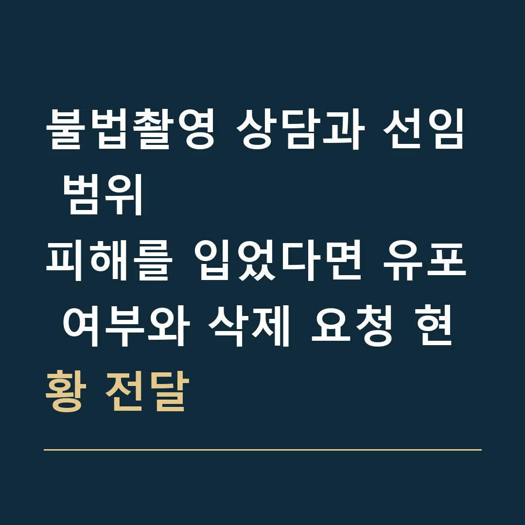 불법촬영 상담과 선임 범위 · 피해를 입었다면 유포 여부와 삭제 요청 현황 전달