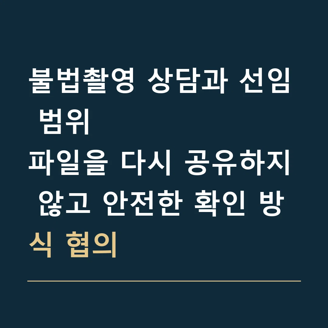 불법촬영 상담과 선임 범위 · 파일을 다시 공유하지 않고 안전한 확인 방식 협의