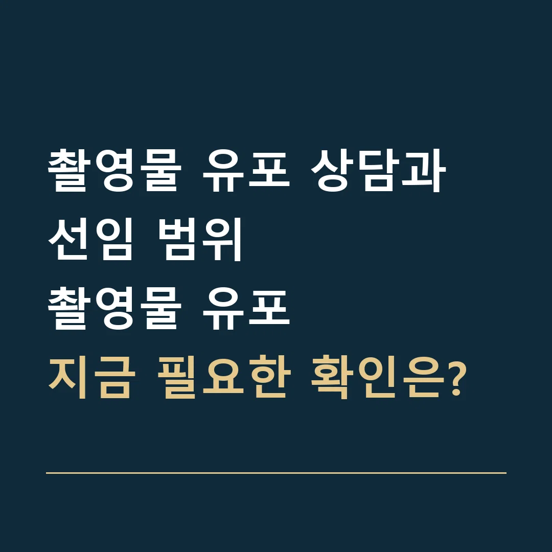 촬영물 유포 상담과 선임 범위 · 촬영물 유포
지금 필요한 확인은?