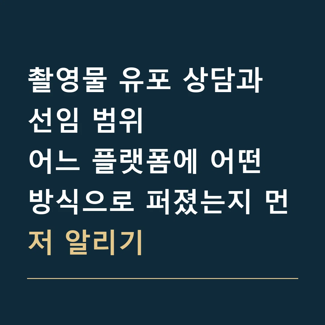 촬영물 유포 상담과 선임 범위 · 어느 플랫폼에 어떤 방식으로 퍼졌는지 먼저 알리기