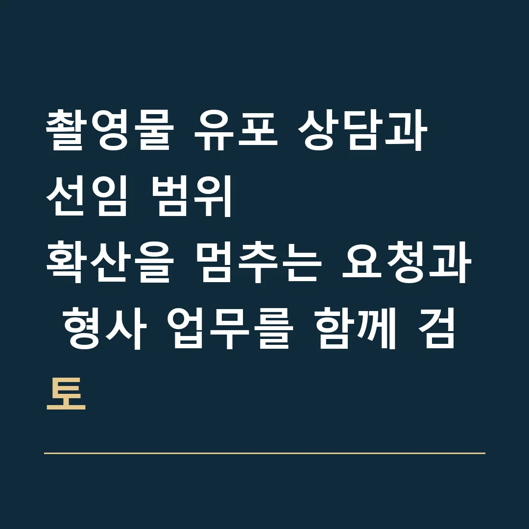 촬영물 유포 상담과 선임 범위 · 확산을 멈추는 요청과 형사 업무를 함께 검토
