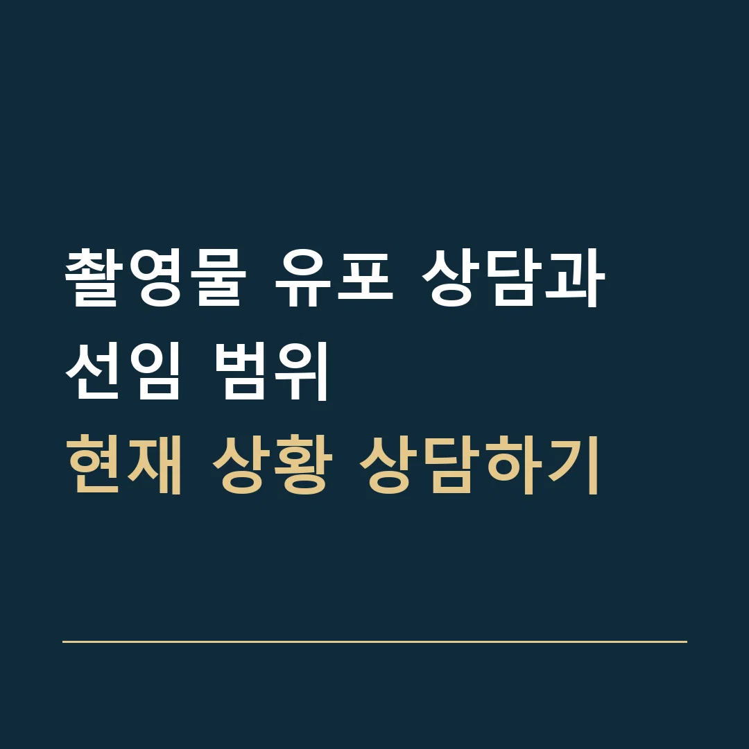 촬영물 유포 상담과 선임 범위 · 현재 상황 상담하기