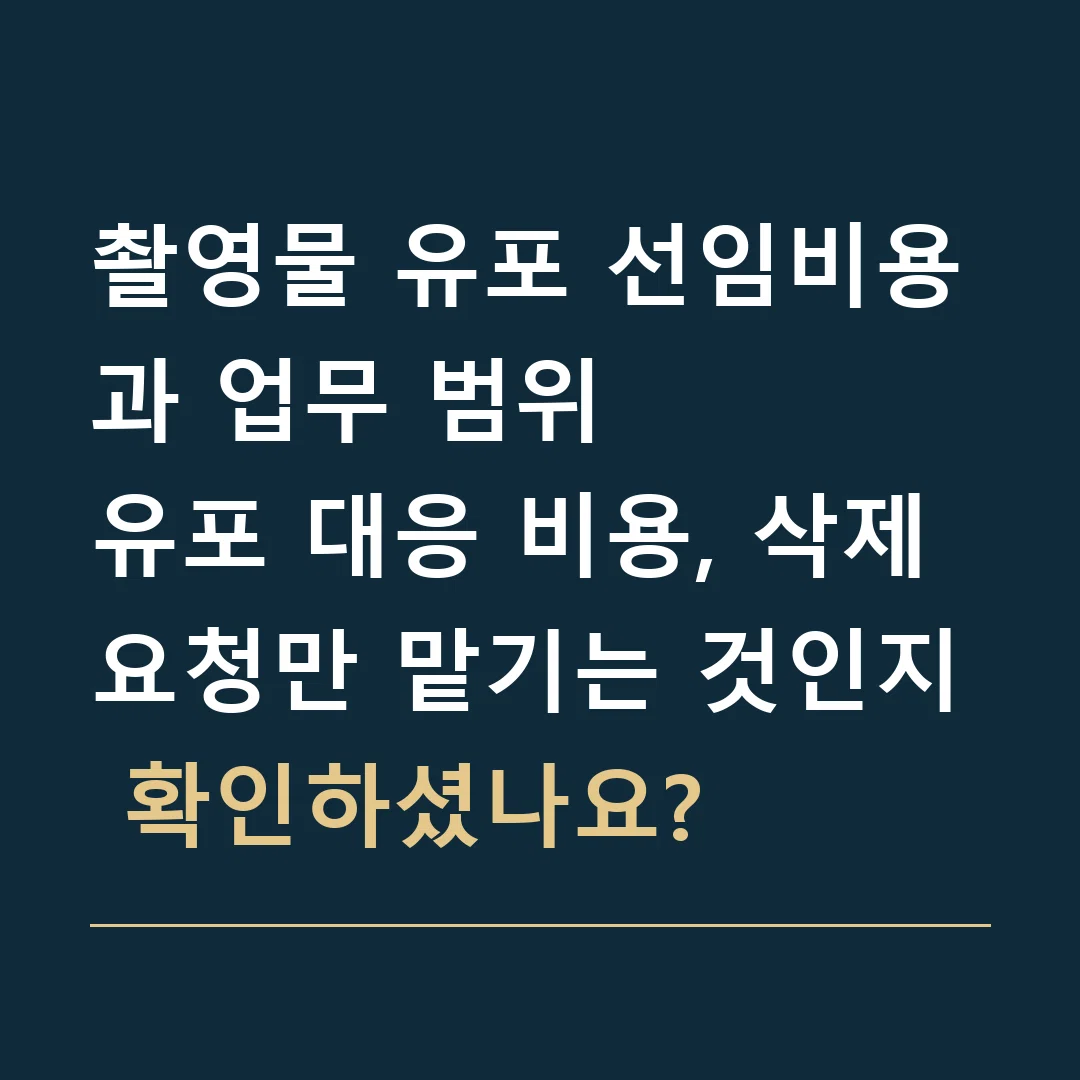 촬영물 유포 선임비용과 업무 범위 · 유포 대응 비용, 삭제 요청만 맡기는 것인지 확인하셨나요?