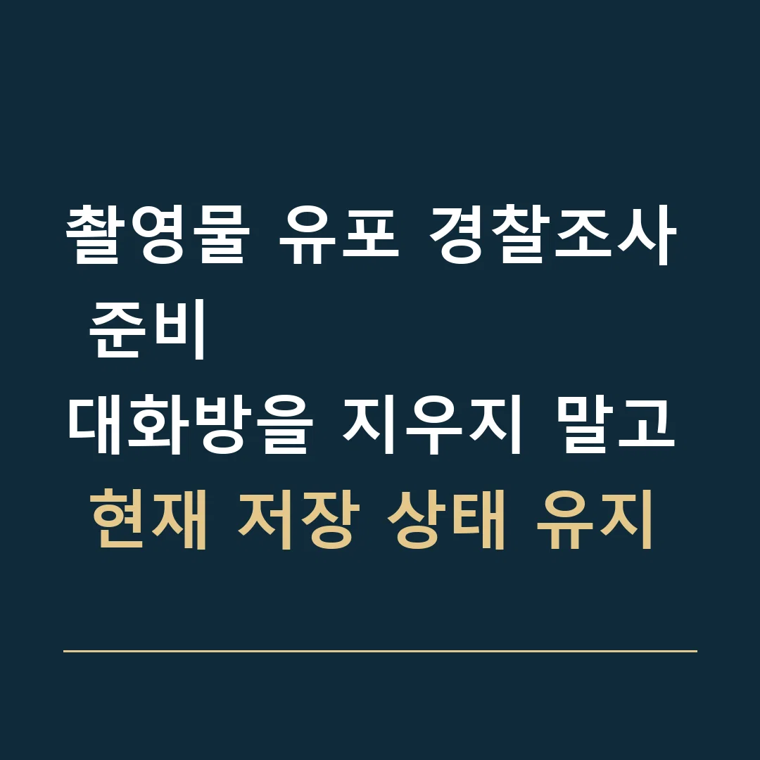 촬영물 유포 경찰조사 준비 · 대화방을 지우지 말고 현재 저장 상태 유지