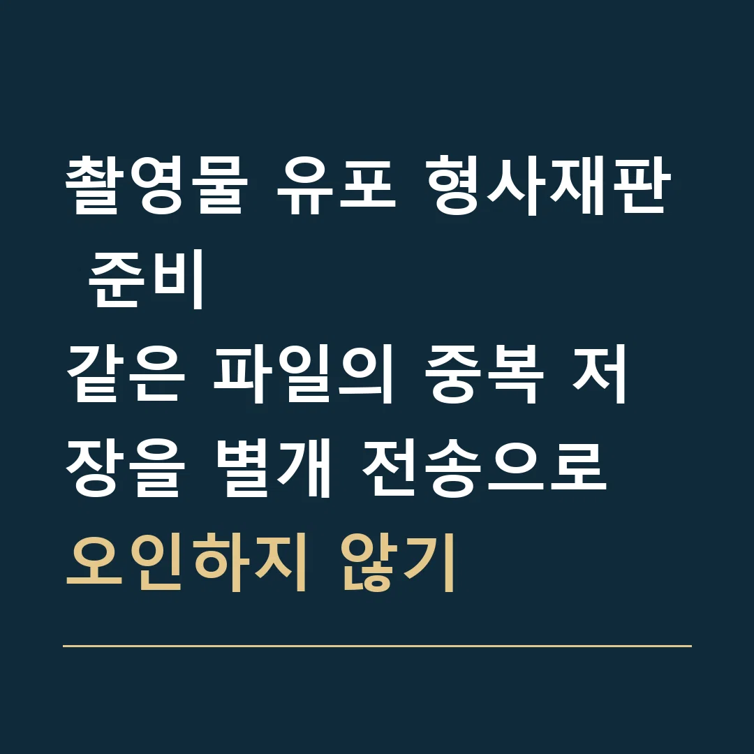 촬영물 유포 형사재판 준비 · 같은 파일의 중복 저장을 별개 전송으로 오인하지 않기