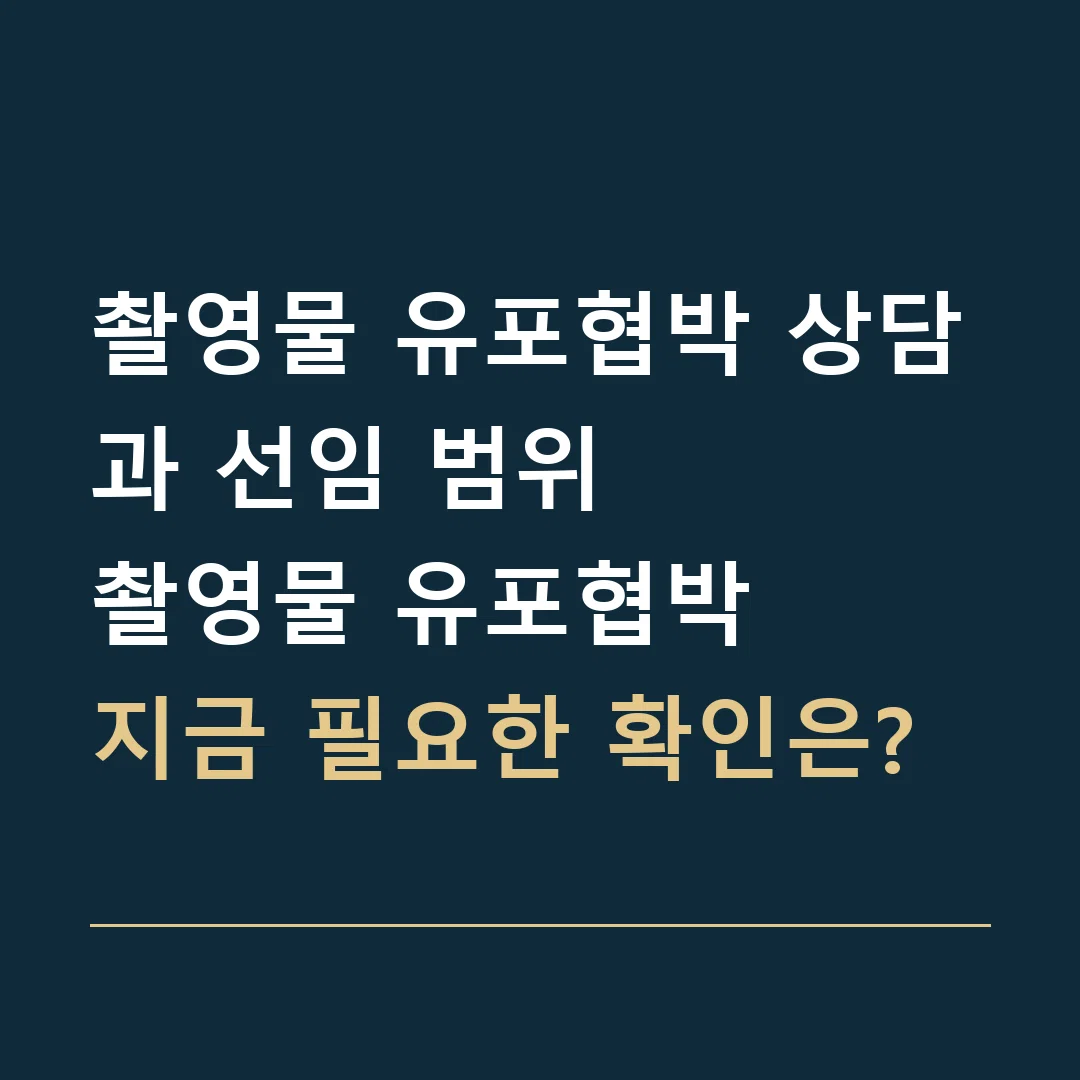 촬영물 유포협박 상담과 선임 범위 · 촬영물 유포협박
지금 필요한 확인은?