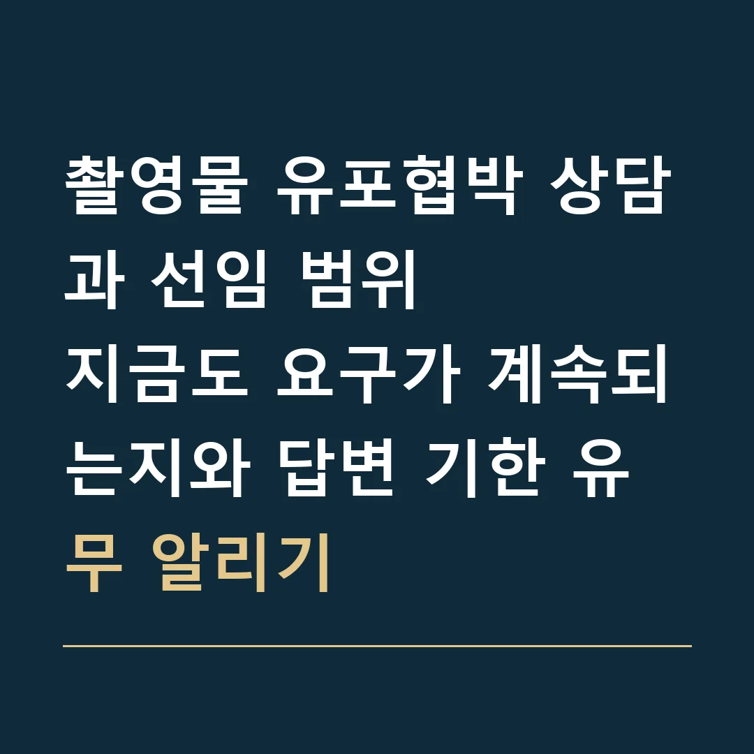 촬영물 유포협박 상담과 선임 범위 · 지금도 요구가 계속되는지와 답변 기한 유무 알리기