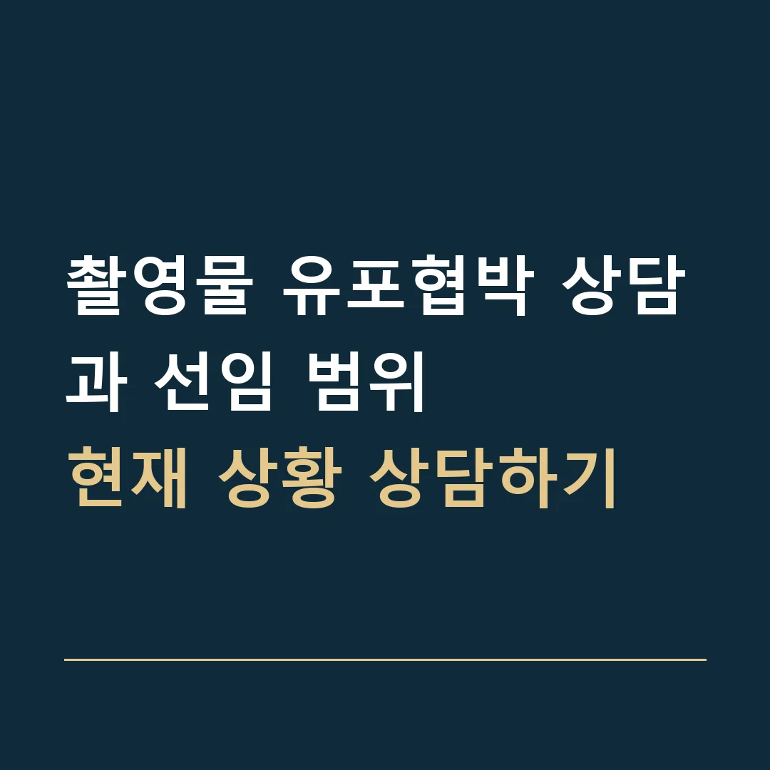 촬영물 유포협박 상담과 선임 범위 · 현재 상황 상담하기