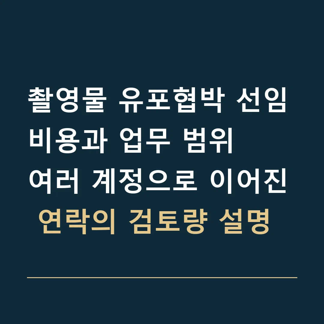 촬영물 유포협박 선임비용과 업무 범위 · 여러 계정으로 이어진 연락의 검토량 설명