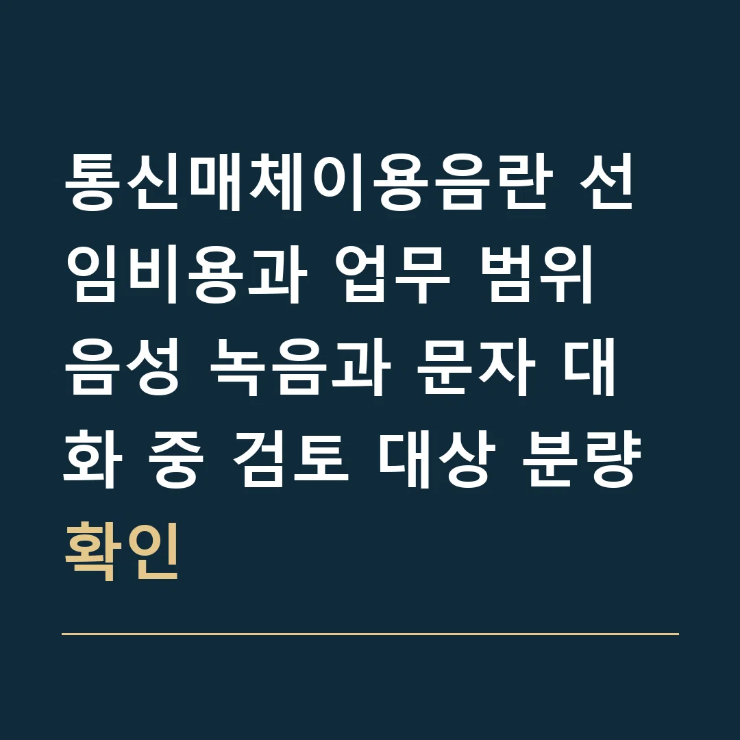 통신매체이용음란 선임비용과 업무 범위 · 음성 녹음과 문자 대화 중 검토 대상 분량 확인