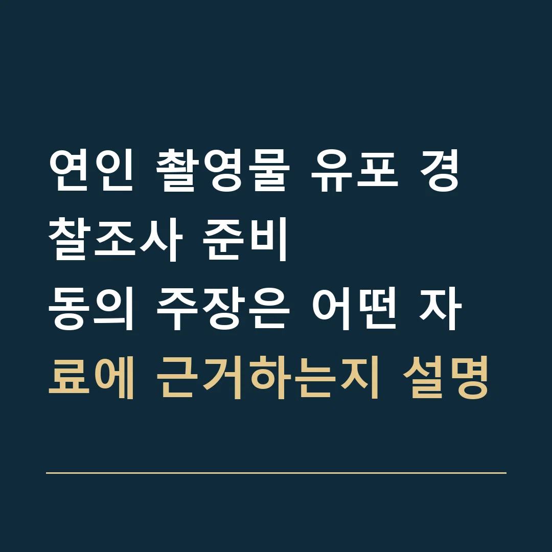 연인 촬영물 유포 경찰조사 준비 · 동의 주장은 어떤 자료에 근거하는지 설명