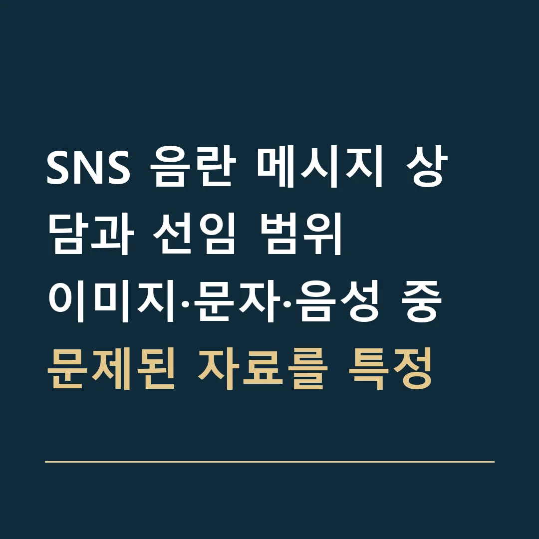 SNS 음란 메시지 상담과 선임 범위 · 이미지·문자·음성 중 문제된 자료를 특정