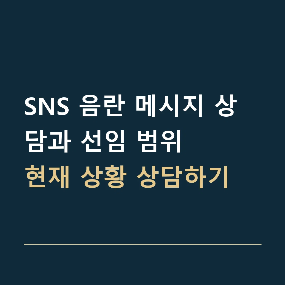 SNS 음란 메시지 상담과 선임 범위 · 현재 상황 상담하기