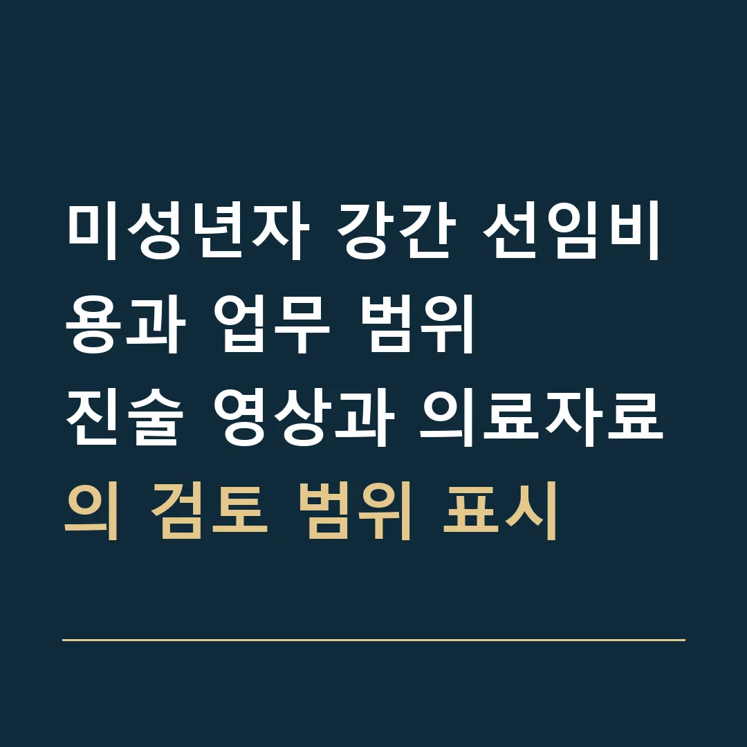 미성년자 강간 선임비용과 업무 범위 · 진술 영상과 의료자료의 검토 범위 표시