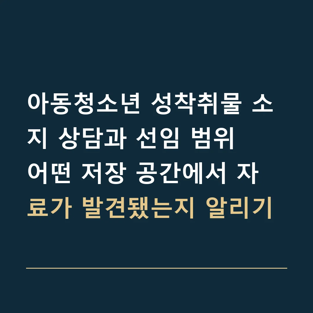 아동청소년 성착취물 소지 상담과 선임 범위 · 어떤 저장 공간에서 자료가 발견됐는지 알리기