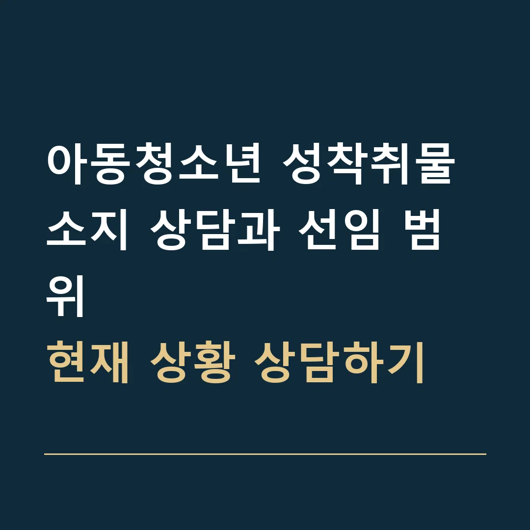 아동청소년 성착취물 소지 상담과 선임 범위 · 현재 상황 상담하기