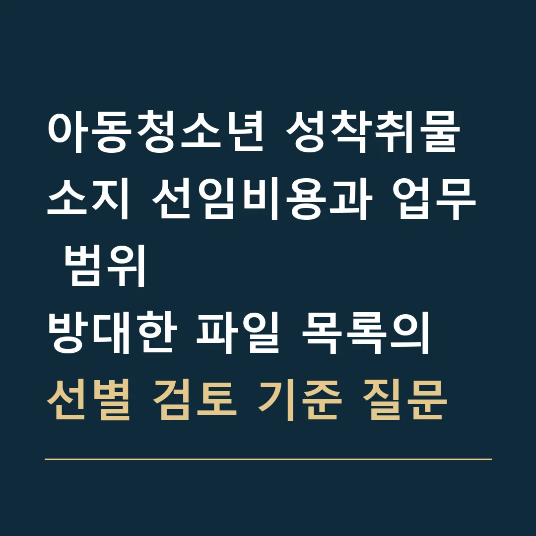 아동청소년 성착취물 소지 선임비용과 업무 범위 · 방대한 파일 목록의 선별 검토 기준 질문