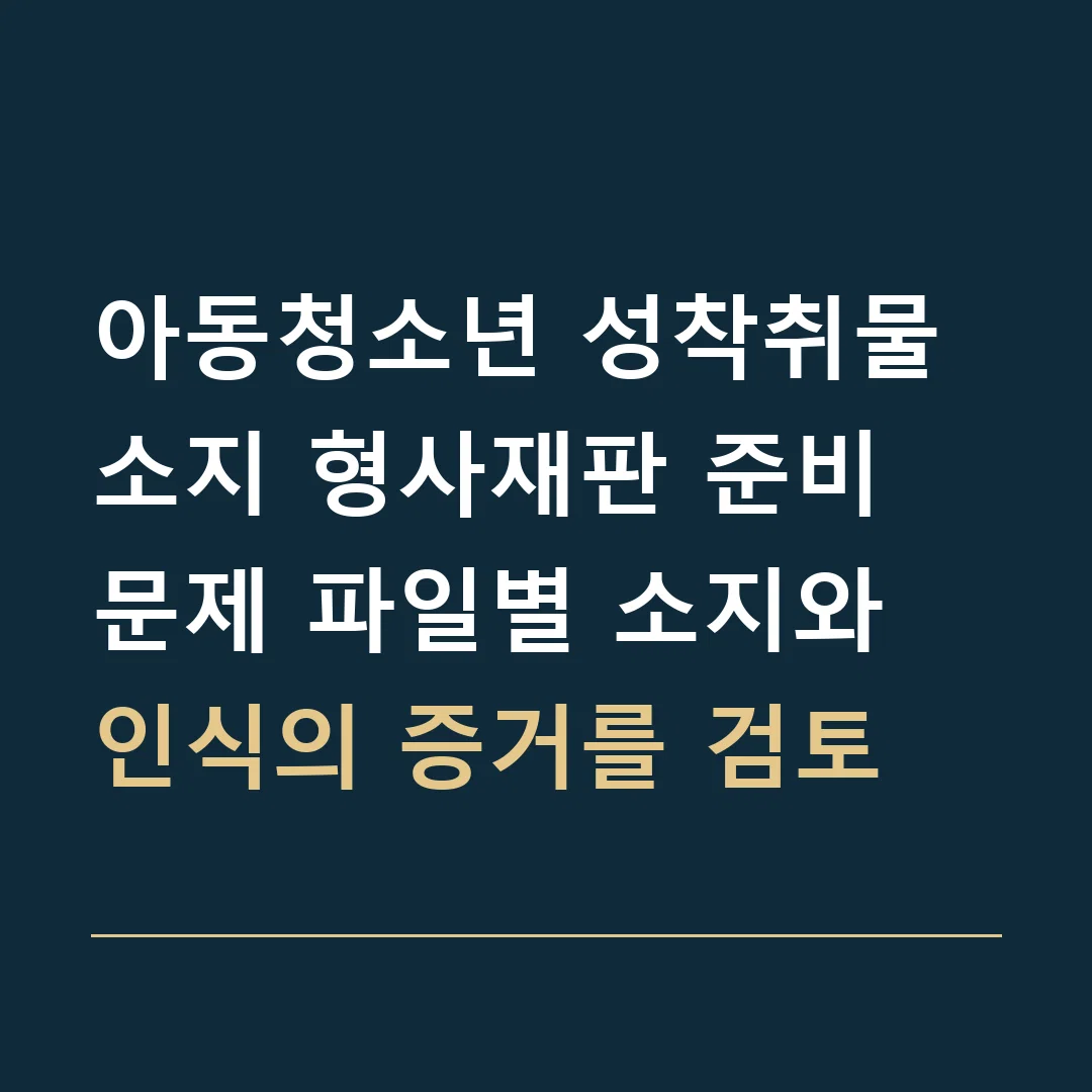 아동청소년 성착취물 소지 형사재판 준비 · 문제 파일별 소지와 인식의 증거를 검토