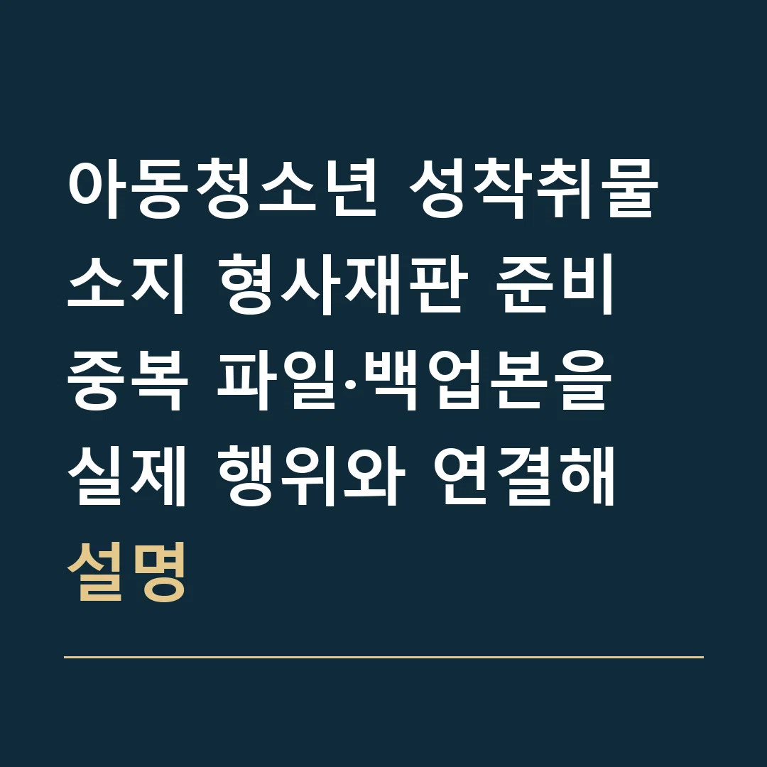 아동청소년 성착취물 소지 형사재판 준비 · 중복 파일·백업본을 실제 행위와 연결해 설명