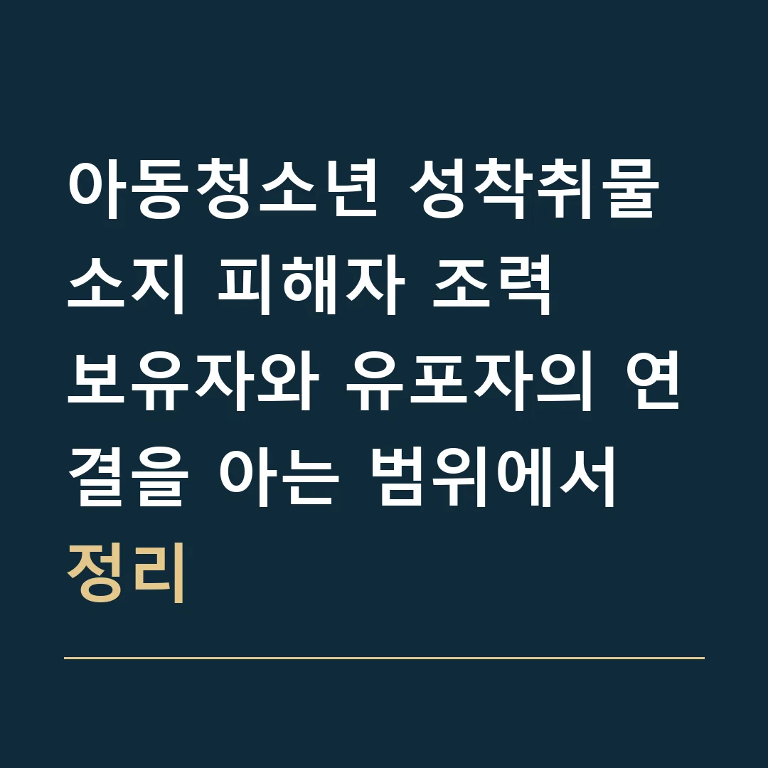 아동청소년 성착취물 소지 피해자 조력 · 보유자와 유포자의 연결을 아는 범위에서 정리