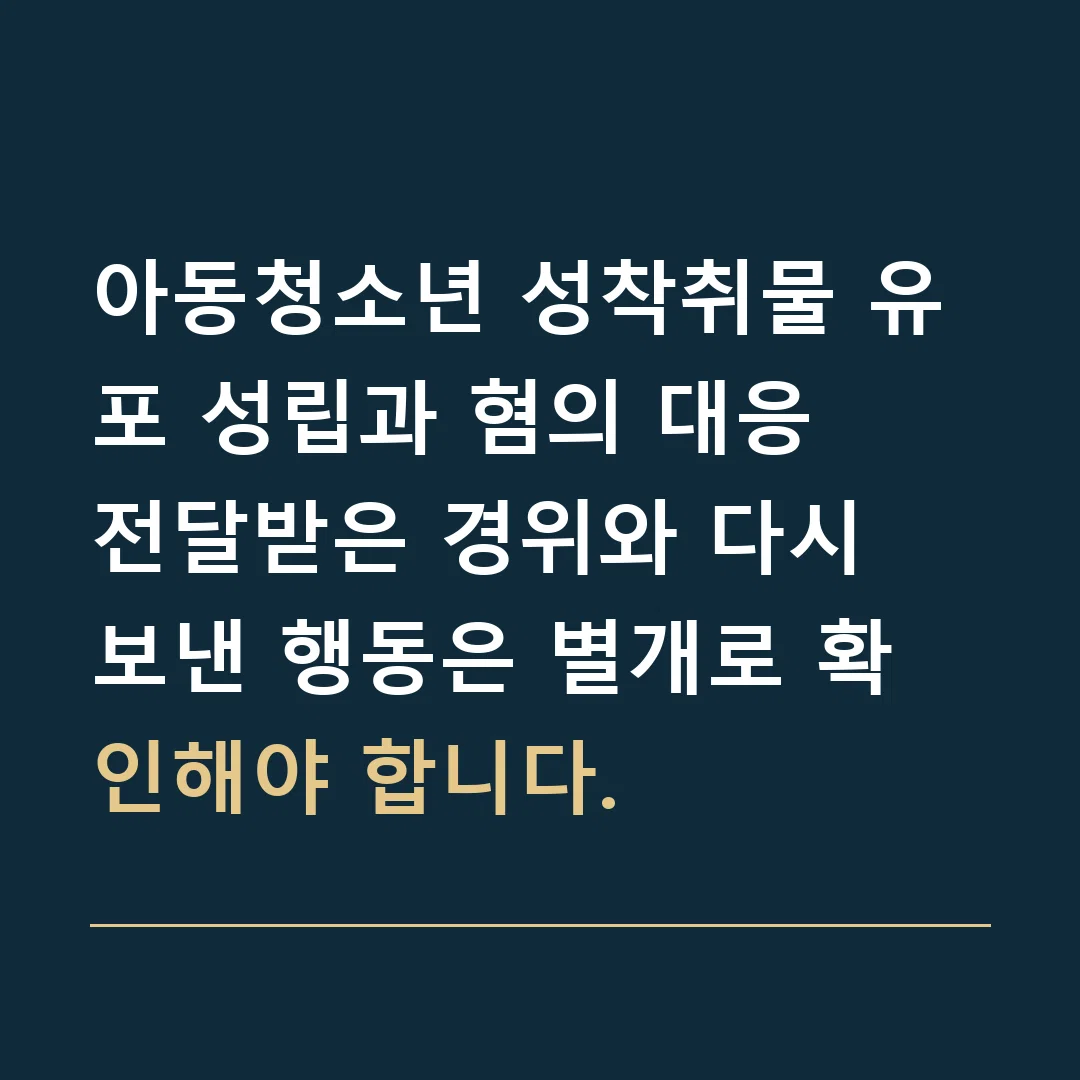 아동청소년 성착취물 유포 성립과 혐의 대응 · 전달받은 경위와 다시 보낸 행동은 별개로 확인해야 합니다.