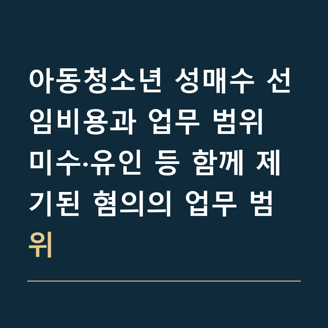 아동청소년 성매수 선임비용과 업무 범위 · 미수·유인 등 함께 제기된 혐의의 업무 범위