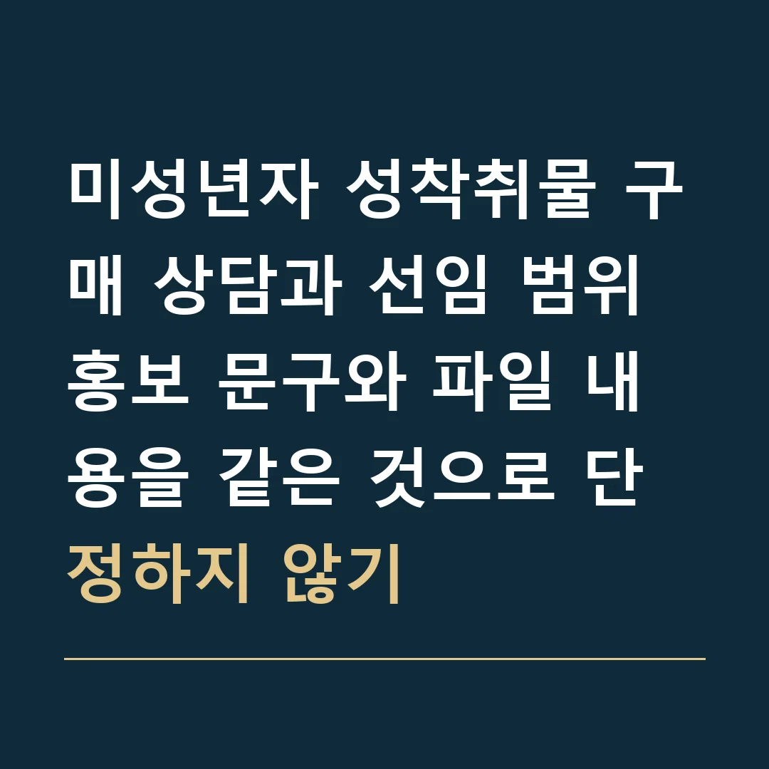 미성년자 성착취물 구매 상담과 선임 범위 · 홍보 문구와 파일 내용을 같은 것으로 단정하지 않기