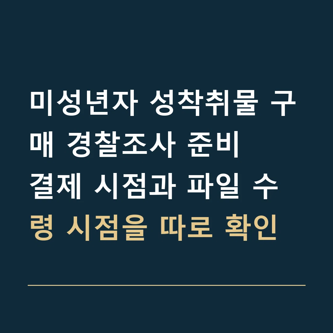 미성년자 성착취물 구매 경찰조사 준비 · 결제 시점과 파일 수령 시점을 따로 확인