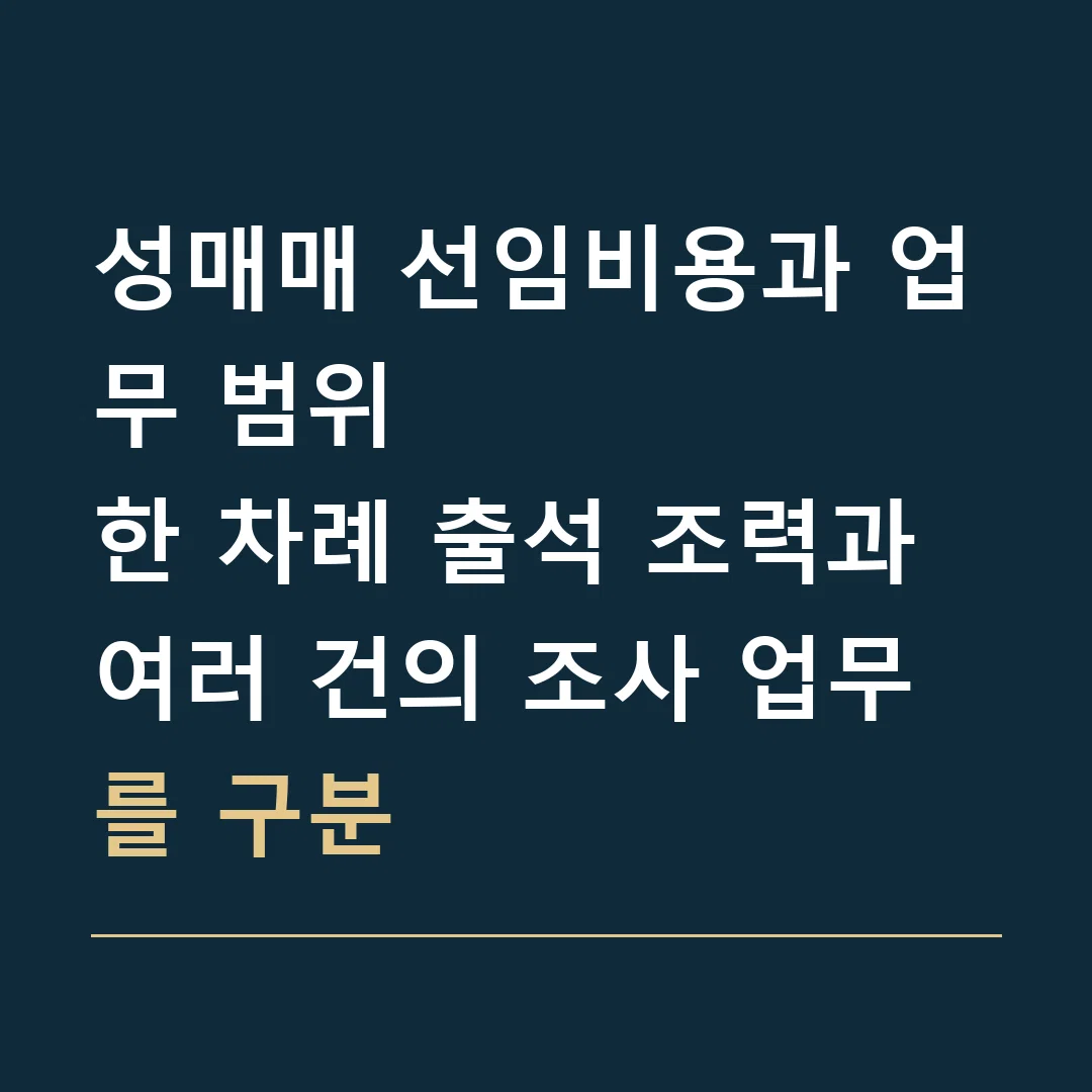 성매매 선임비용과 업무 범위 · 한 차례 출석 조력과 여러 건의 조사 업무를 구분