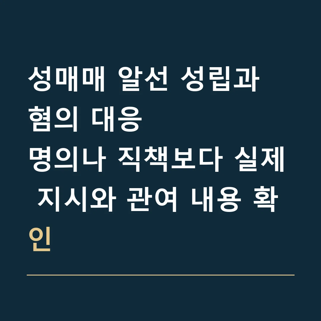 성매매 알선 성립과 혐의 대응 · 명의나 직책보다 실제 지시와 관여 내용 확인