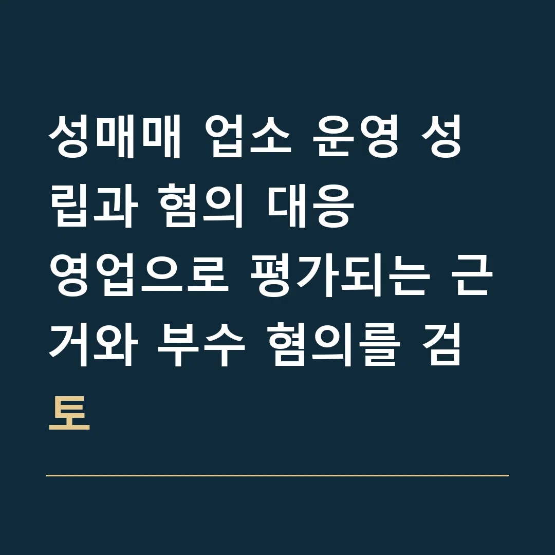성매매 업소 운영 성립과 혐의 대응 · 영업으로 평가되는 근거와 부수 혐의를 검토