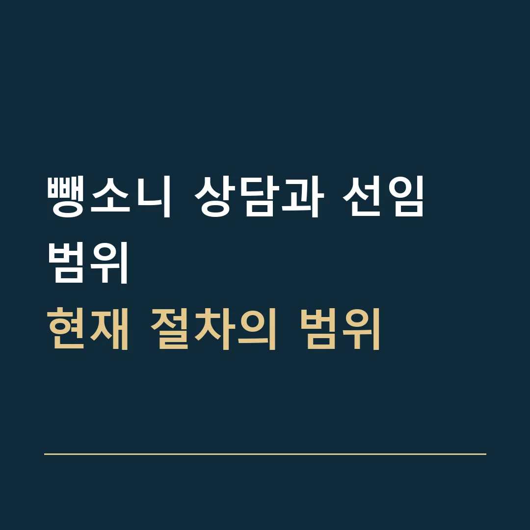 뺑소니 상담과 선임 범위 · 현재 절차의 범위