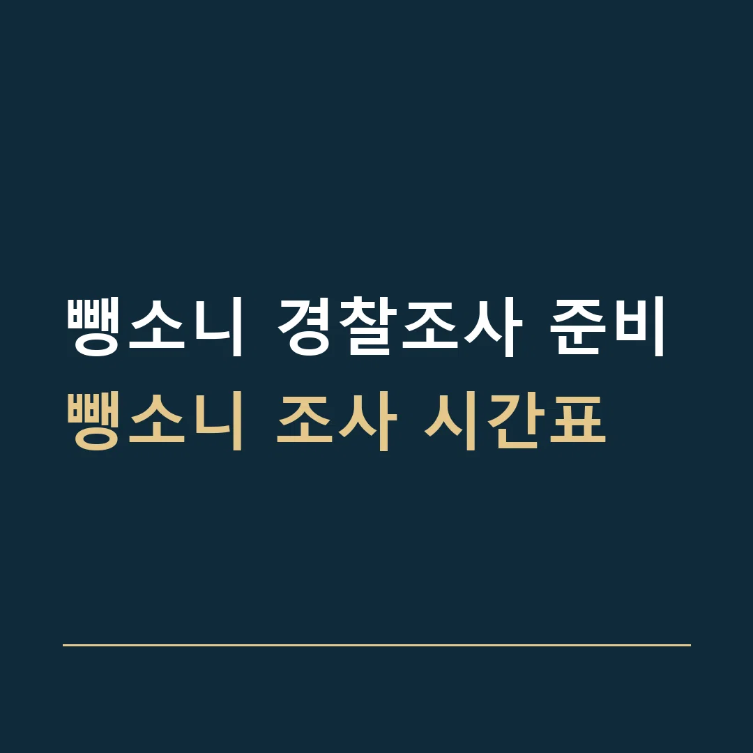 뺑소니 경찰조사 준비 · 뺑소니 조사 시간표