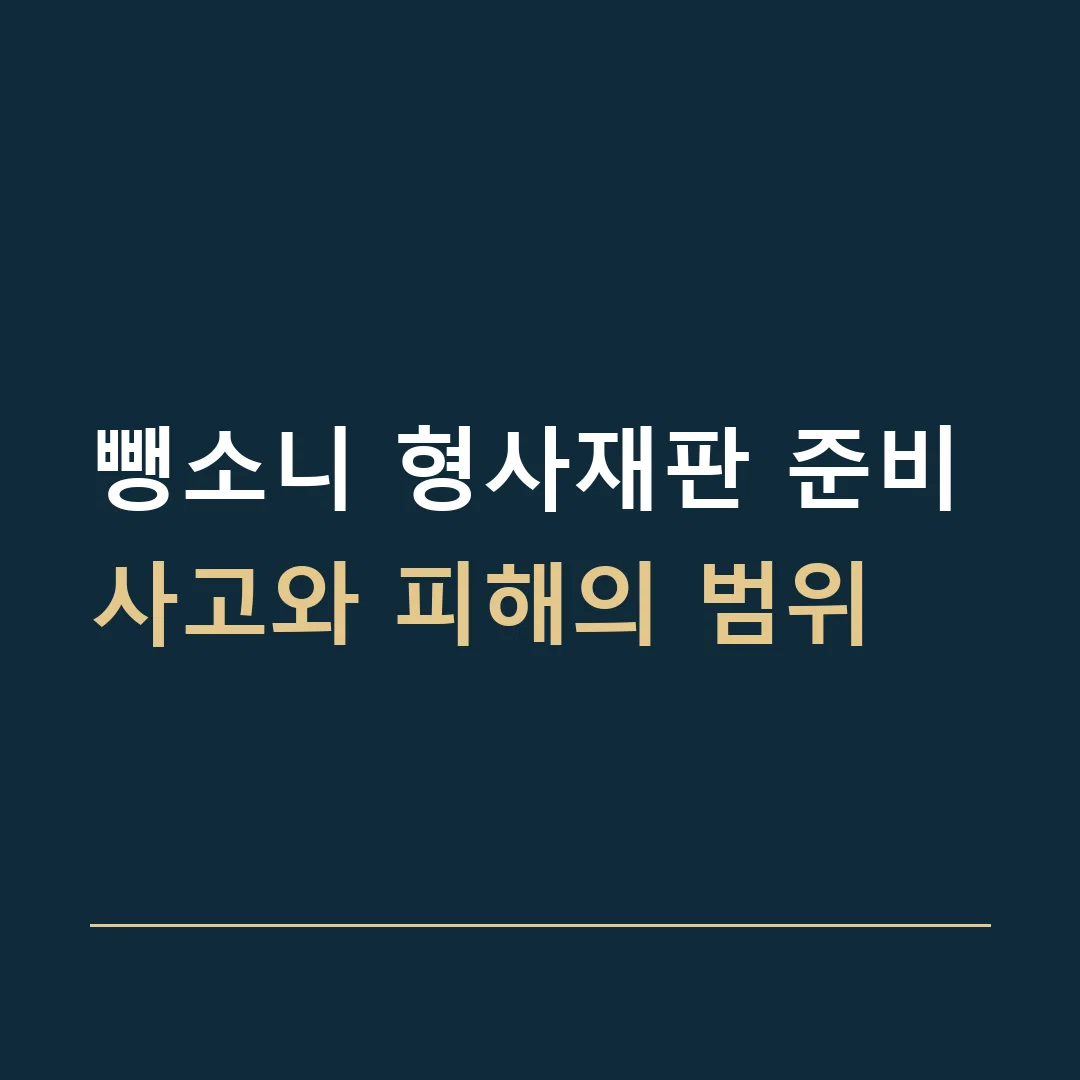 뺑소니 형사재판 준비 · 사고와 피해의 범위