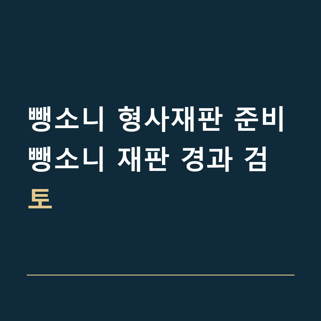 뺑소니 형사재판 준비 · 뺑소니 재판 경과 검토