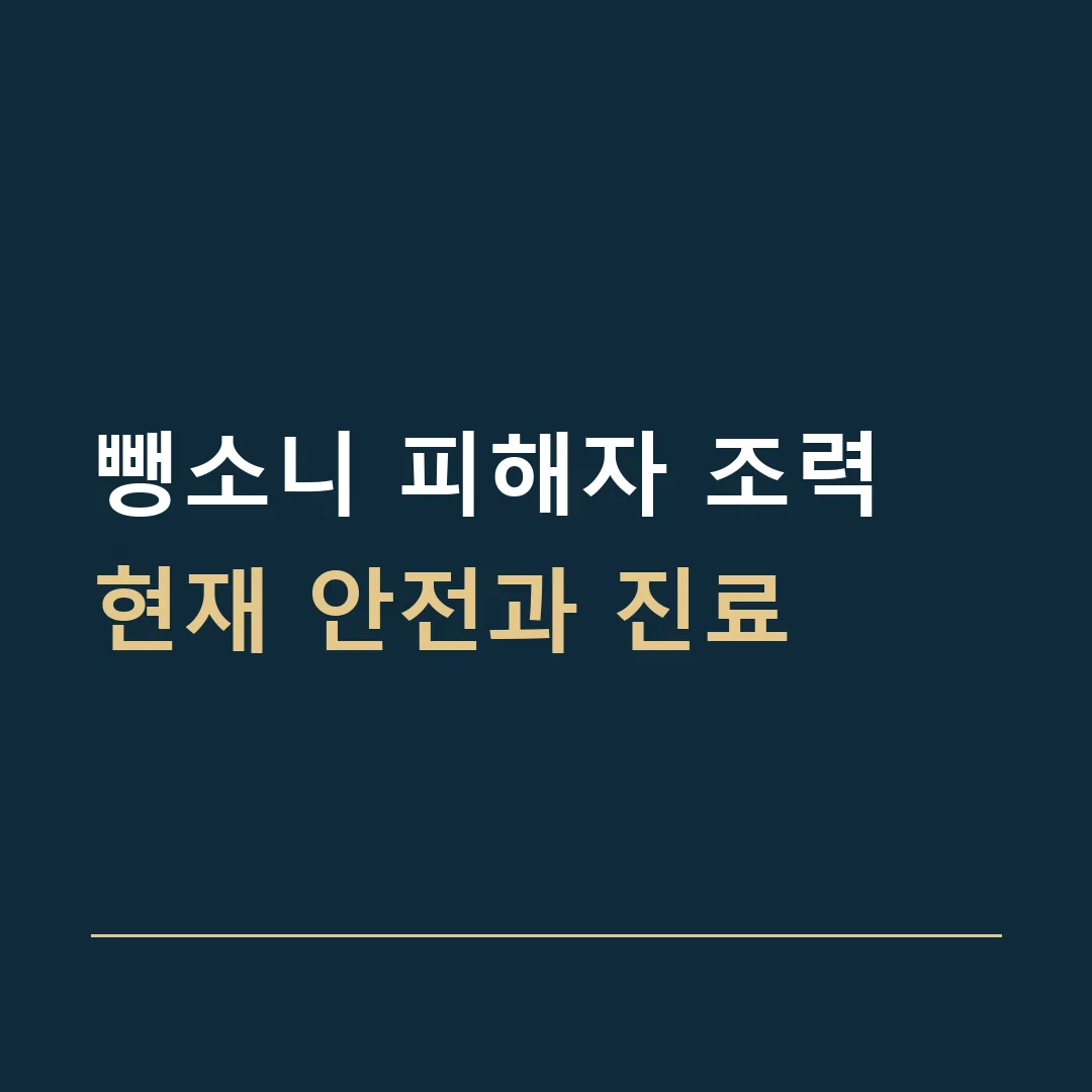 뺑소니 피해자 조력 · 현재 안전과 진료