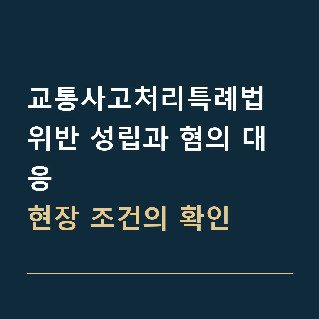 교통사고처리특례법 위반 성립과 혐의 대응 · 현장 조건의 확인